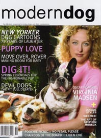 Modern Dog, Spring 2005